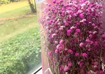 金型加工・金型製造工場が女性従業員のための中国のガールズデーを祝う